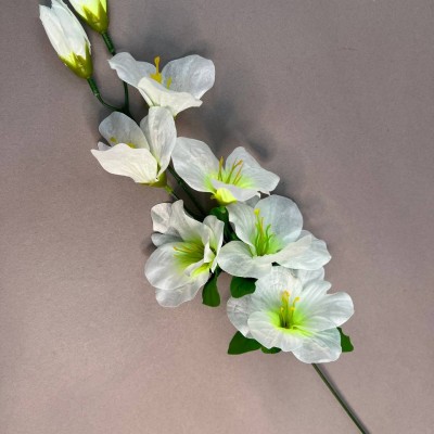 Одиночные цветы